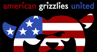 American Grizzlies